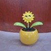 Our adventure begins Blyth's flowers and Dave's Sunflower 002