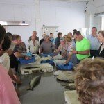 Laxe Commercial Fish Auction