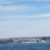Ocean Rainbow goes surfing Essaouira - now you see them
