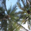 Bequia – What a secret (re)treat! The view after 2 rum punches