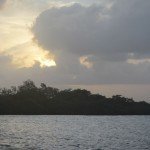 Palmetto Cay at dawn