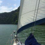 Sailing down the Rio Dulce