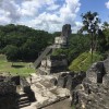 Tikal – Awesome img_1277